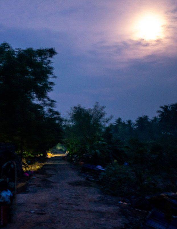 The complete absence of even the most basic amenities in the settlement of this once-nomadic community, has led to their further marginalisation. Palani Kumar chronicles their past and present